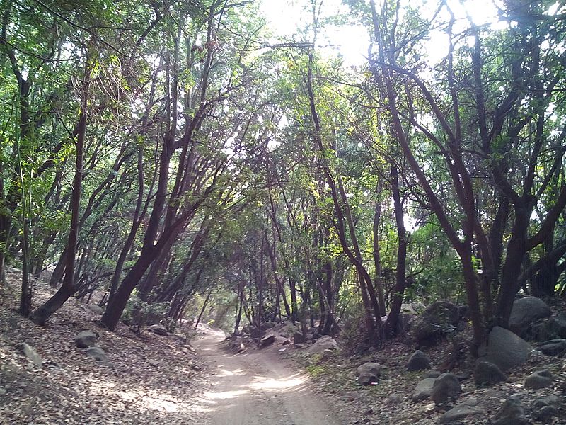 Pirque, Chile - panoramio (8)