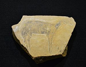 Archivo:Plaqueta calcària amb cérvola pintada i èquids gravats, Cova del Parpalló, Museu de Prehistòria de València