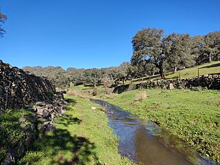 Rio Bodión aproximándose al embalse de Tentudía.jpg