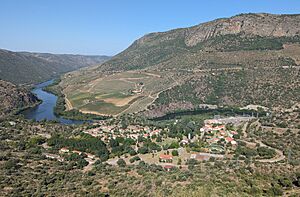 Archivo:Salto de Saucelle 03