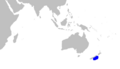 Scymnodalatias sherwoodi distmap