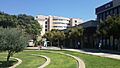 Sheba hospital in Tel Hashomer - 03