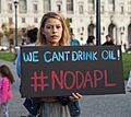Stand with Standing Rock SF Nov 2016 08