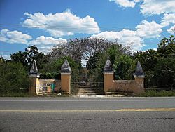 Texán (Cansahcab), Yucatán (01).jpg