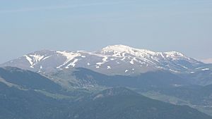 Archivo:Tossa alp puigllançada