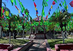 Tuxcacuesco (20240419).jpg