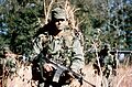 US Army Rangers field excercise