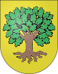 Échallens-coat of arms.svg