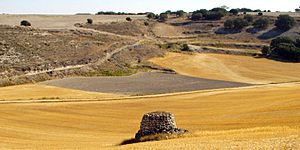 Archivo:050828 1106 SLL Las Mangadas FuenteSanBartolomé Monte-SanLlorente Arroyo Congosto Choza T01