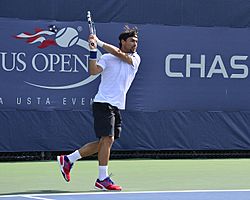 Archivo:2013 US Open (Tennis) - Fabio Fognini (9665976014)