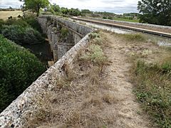 Acueducto de Abánades. Canal de Castilla (3)