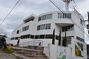 Archivo:Alcaldia de Acevedo Huila