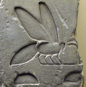 Archivo:AncientEgyptianRelief-BeeHieroglyph-ROM