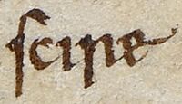 Palabra manuscrita "scire"