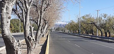 Av. Libertador General San Martín entre Rivadavia y Marquesado, provincia de San Juan, Argentina