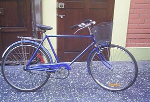 Archivo:Bicicleta chacarera con canasta