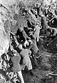 Bundesarchiv Bild 183-78612-0004, KZ Sachsenhausen, Häftlinge bei Erdarbeiten