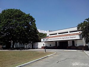 Archivo:CIAT Headquarters Palmira, Colombia