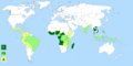 Carte Coffea robusta arabic