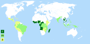 Archivo:Carte Coffea robusta arabic