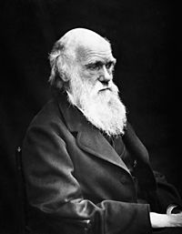 Archivo:Charles Darwin 01