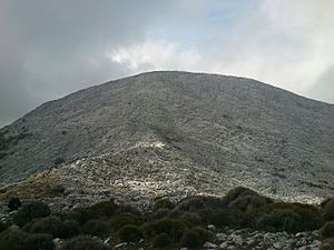 Archivo:Cima del Pico Simancón