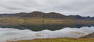 Archivo:Dýrafjörður, Vestfirðir, Islandia, 2014-08-15, DD 042