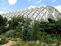 Denver Botanic Gardens - DSC00887