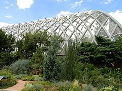Denver Botanic Gardens - DSC00887