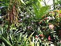 Denver Botanic Gardens - DSC00907