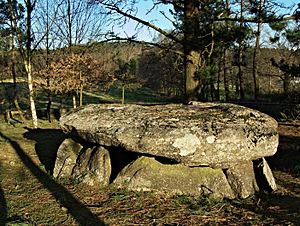 Archivo:Dolmen de Cabaleiros, Tordoia
