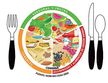 Archivo:El Plato del Bien Comer Tomado de NOM-043-SSA2-2005