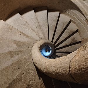 Archivo:Escalera del campanario de la catedral de Coria