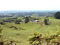 Farming Country In Waitomo Area