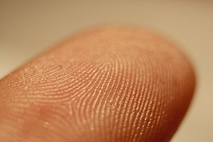 Archivo:Fingerprint detail on male finger in Třebíč, Třebíč District