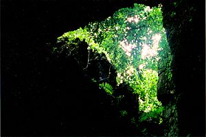 Archivo:Grutas Del Coconá