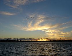 Archivo:Hauraki Gulf Sunset With Birds