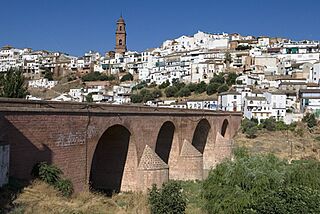 IAPH-Paisaje cultural de Montoro-70 0004016.jpg