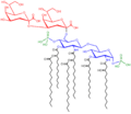 Kdo2-lipidA