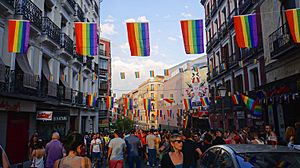 Archivo:Madrid Pride Orgullo 2015 58360 (19339362381)
