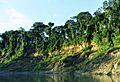 Manu riverbank