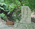 Nara Japan deer in city