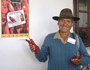 Archivo:Padilla, Bolivia local