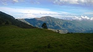 Archivo:Paisaje de Monterredondo