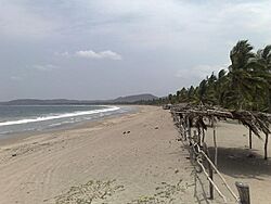 Palapas en Playa Manzanilla - panoramio.jpg