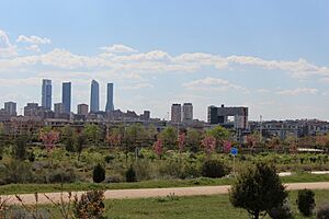 Archivo:Parque forestal de Valdebebas 6
