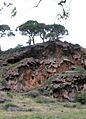 Peña de Arias Montano - Antiguo edificio tobáceo 2