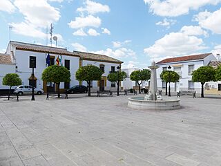 Plaza de Carlos III El Campillo.jpg