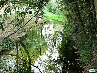 Pontevedra-Río Gafos 06 (3969467125).jpg