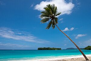 Archivo:Port Vila Beach 2014